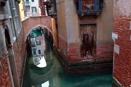 Вода в Венеции очистилась из-за коронавируса - lenta.ru - Италия