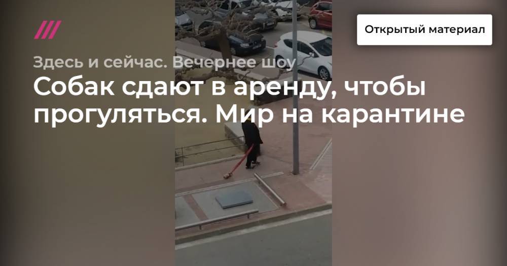 Биньямин Нетаньяху - Собак сдают в аренду, чтобы прогуляться. Мир на карантине. - tvrain.ru - Израиль