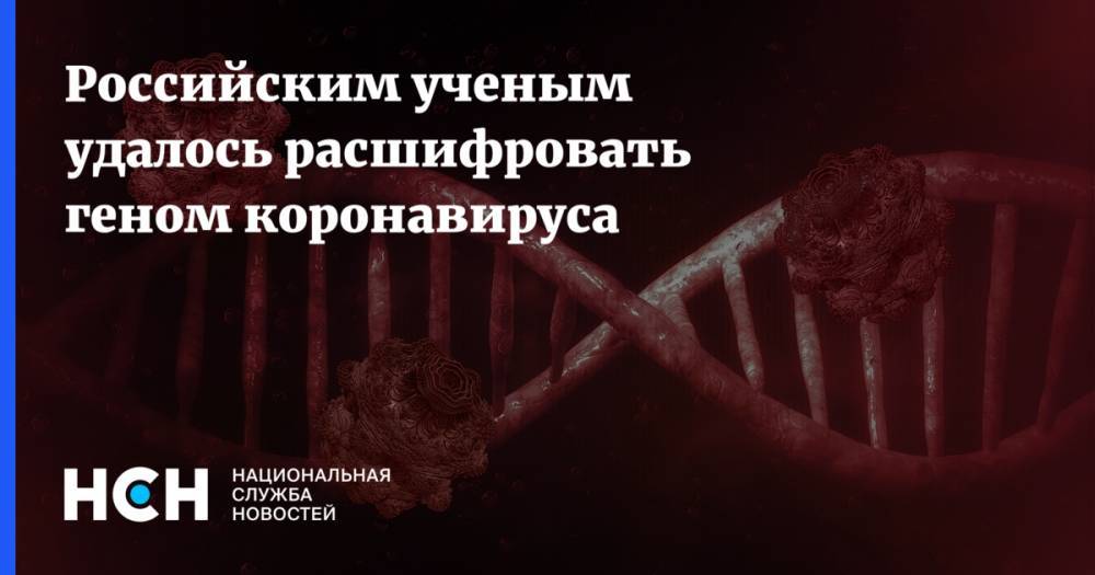 Российским ученым удалось расшифровать геном коронавируса - nsn.fm - Россия