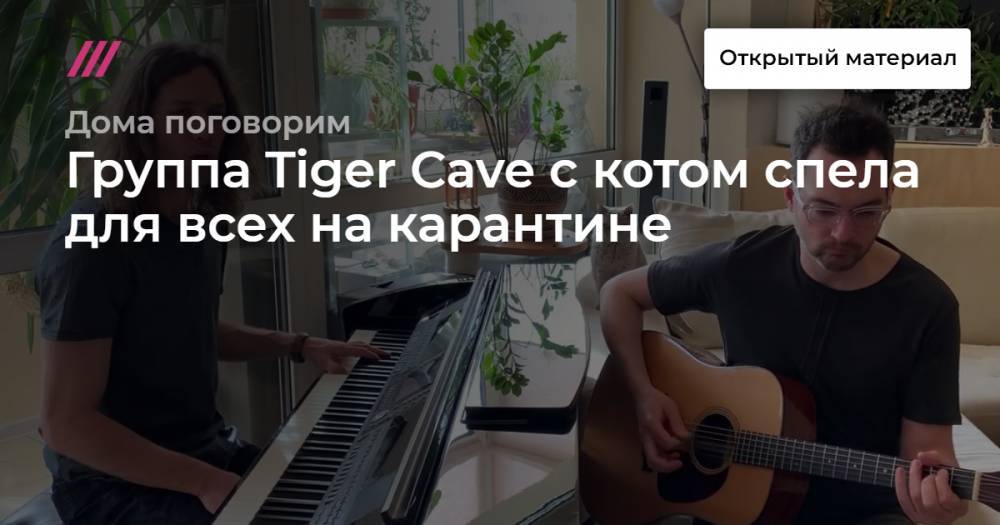 Дмитрий Зицер - Группа Tiger Cave с котом спела для всех на карантине - tvrain.ru - Россия