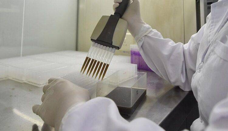 Российские ученые выделили полный геном коронавируса - newtvnews.ru - Россия