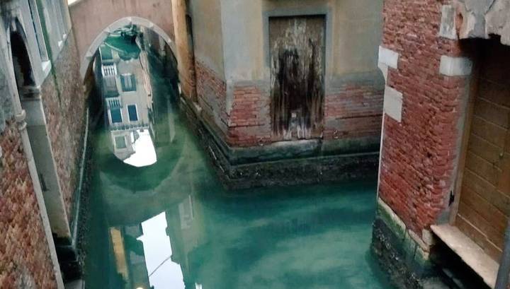 Коронавирус вывел Венецию на чистую воду - vesti.ru