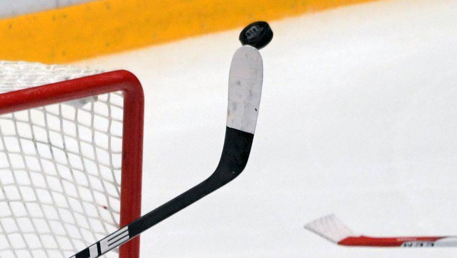 Вильям Дейль - НХЛ рассматривает «множество вариантов» завершения сезона - gazeta.ru