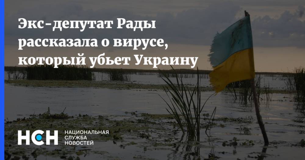 Анна Герман - Экс-депутат Рады рассказала о вирусе, который убьет Украину - nsn.fm - Украина