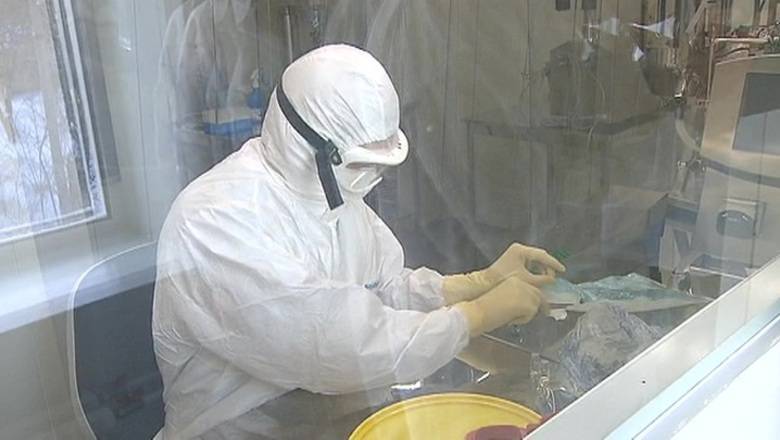 В России начали испытания вакцины против коронавируса - newizv.ru - Россия
