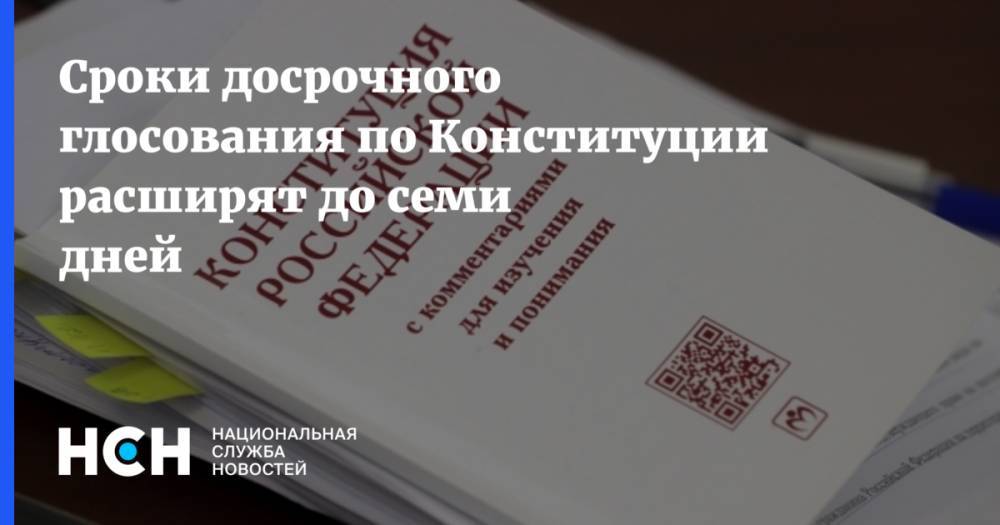 Элла Памфилова - Сроки досрочного глосования по Конституции расширят до семи дней - nsn.fm - Россия