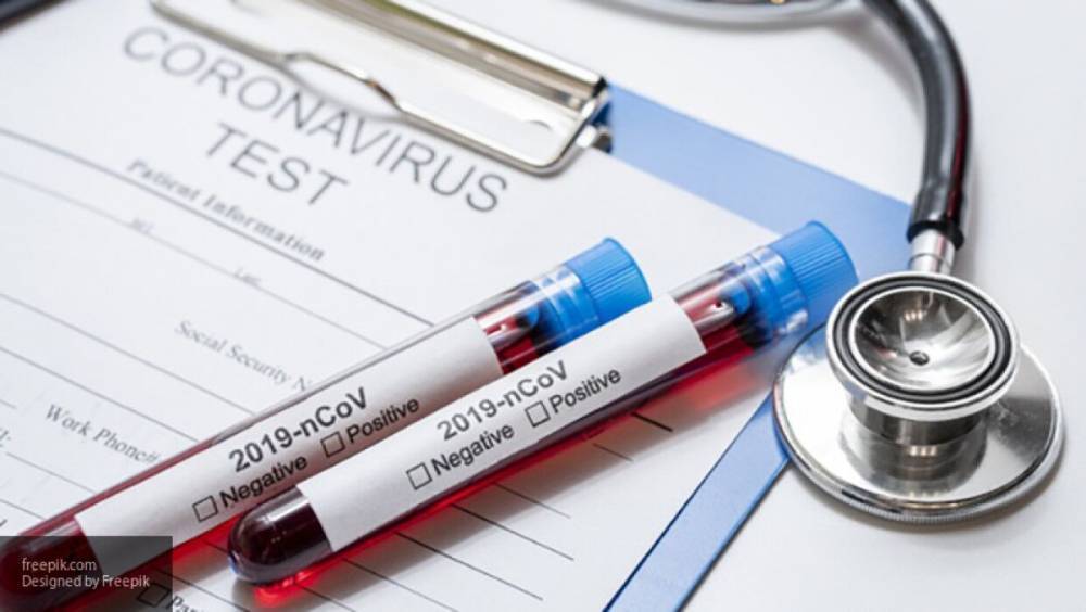 Вакцину от коронавируса начинают тестировать на животных - inforeactor.ru