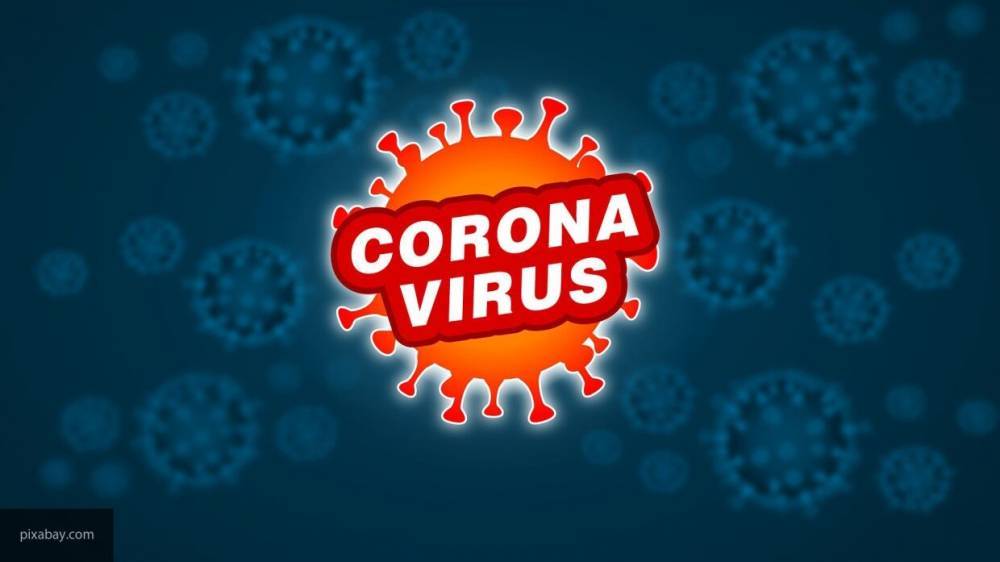Власти Выборгского района минимизировали риски коронавируса для населения - inforeactor.ru