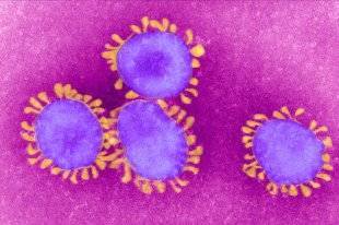 Cамарские ученые нашли способ предсказания вспышек коронавируса - rg.ru