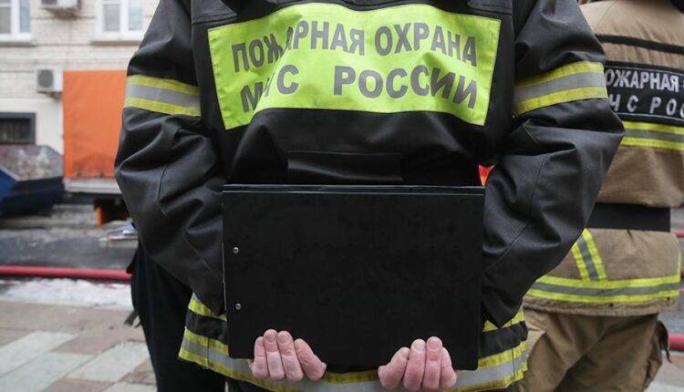 МЧС приостановит противопожарные проверки объектов из-за COVID-19 - newtvnews.ru - Россия