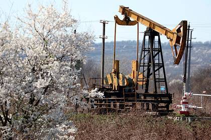 Нефтяники «затянули пояса» из-за ценовой войны - lenta.ru - Россия