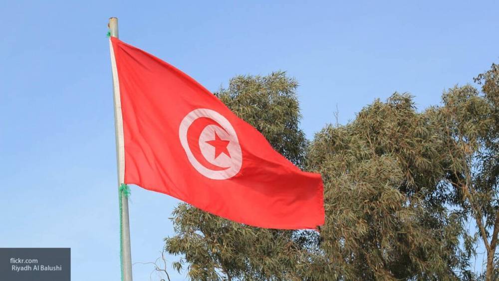 Президент Туниса ввел режим общенациональной самоизоляции из-за коронавируса - inforeactor.ru - Тунис - Тунисская Республика
