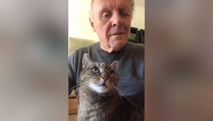 Энтони Хопкинс - Энтони Хопкинс: мой кот пообещал, что защитит меня от коронавируса - vesti.ru - Англия