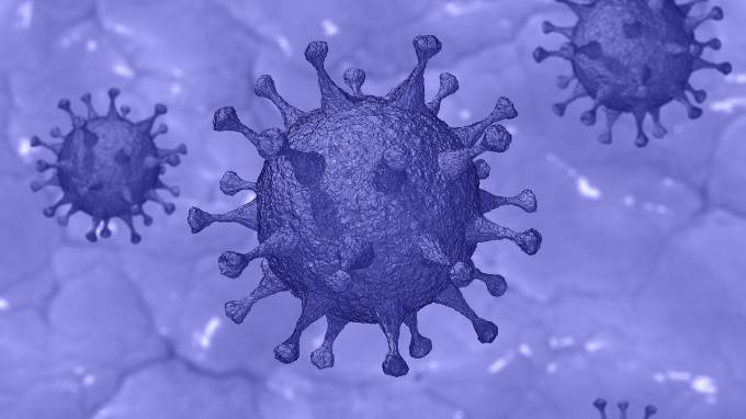 Анатолий Альштейн - Эксперт рассказал, когда пандемия коронавируса в РФ пойдет на спад - piter.tv - Россия - Китай - Нью-Йорк
