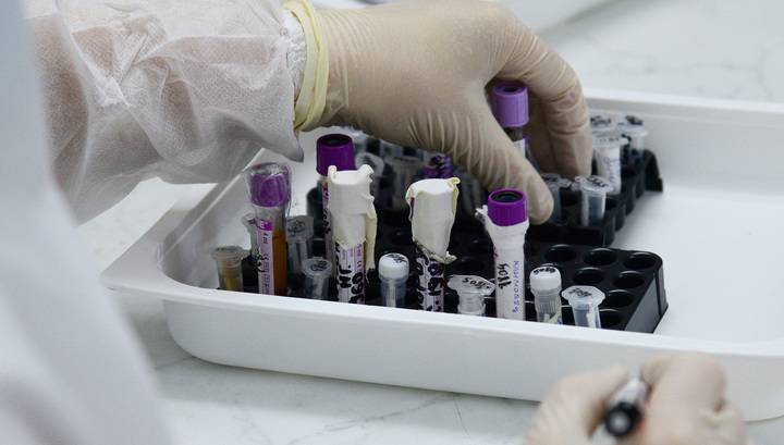 Стали известны особенности российских тестов на коронавирус - vesti.ru - Россия