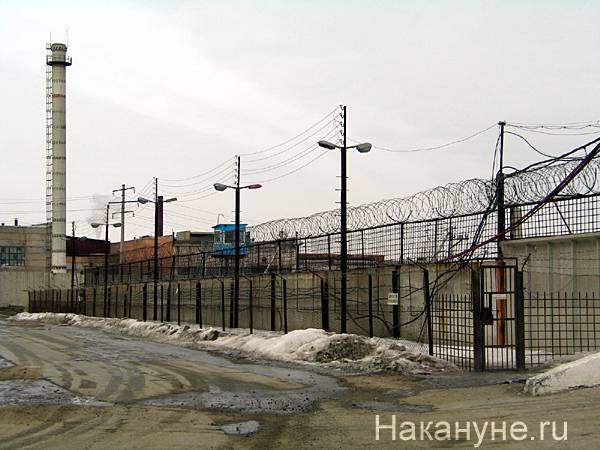 Харви Вайнштейн - В США из тюрем начали отпускать осужденных, опасаясь массовых вспышек коронавируса - nakanune.ru - Сша