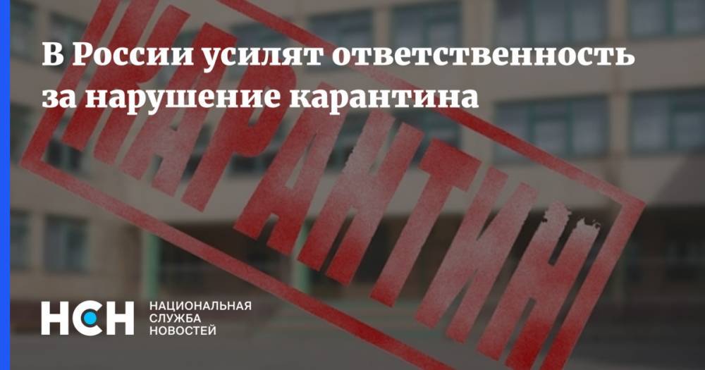 Михаил Мишустин - В России усилят ответственность за нарушение карантина - nsn.fm - Россия