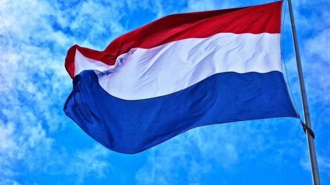 В Нидерландах возобновились слушания по делу о крушении MH17 - piter.tv - Голландия