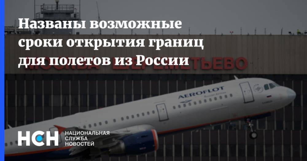 Названы возможные сроки открытия границ для полетов из России - nsn.fm - Россия