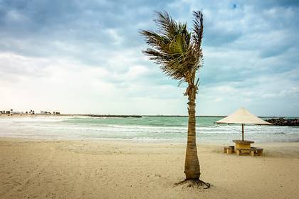 Турист похвастался походом на закрытый из-за коронавируса пляж и был наказан - lenta.ru - Эмираты