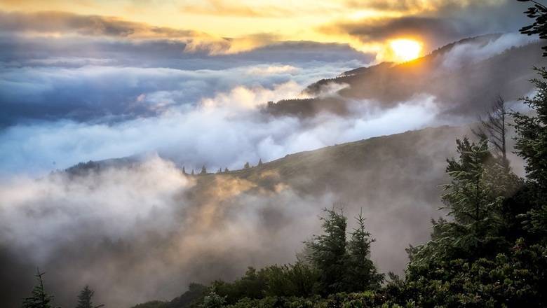 Ученые рассказали о влиянии коронавируса на природу Китая и Италии - newizv.ru - Италия - Китай