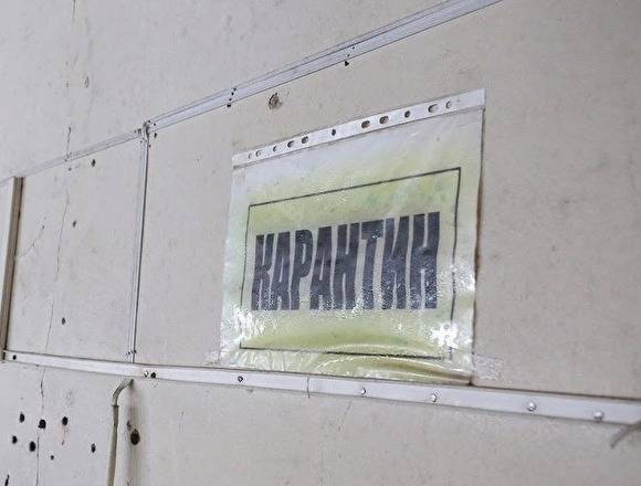 В Петербурге комитет по молодежной политике закрыли на карантин из-за болезни сотрудницы - znak.com - Санкт-Петербург - Франция