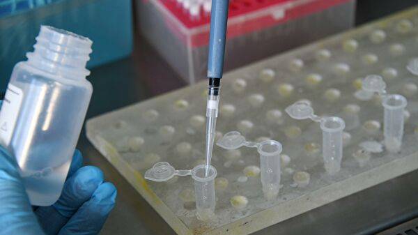 Эксперт: тест-полоски с золотом помогут диагностировать коронавирус - newtvnews.ru - Сша