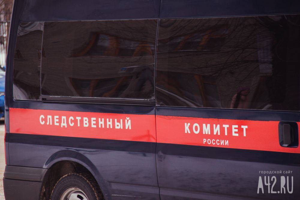 Следственный комитет России начал проверку из-за распространения фейков о коронавирусе - gazeta.a42.ru - Россия