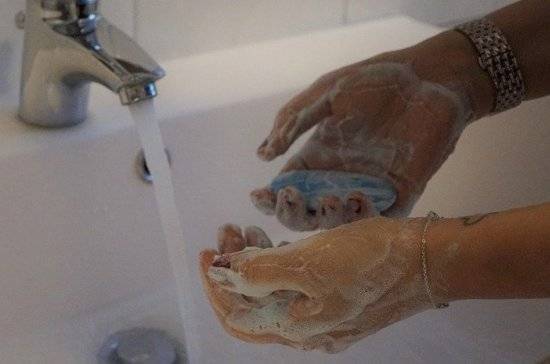 Людмила Лапа - Названо самое эффективное мыло для защиты от коронавируса - pnp.ru - Москва
