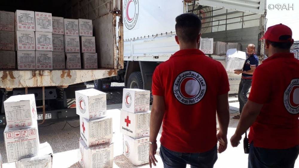 Красный Крест готов поддержать Сирию в борьбе с коронавирусом - riafan.ru - Сирия - Дамаск