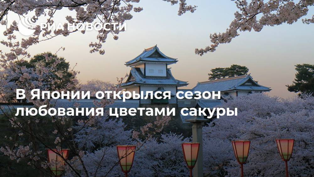 В Японии открылся сезон любования цветами сакуры - ria.ru - Москва - Япония