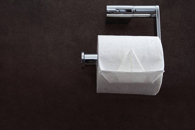 Назван способ рассчитать нужное количество туалетной бумаги на время карантина по коронавирусу - gazeta.a42.ru - Лондон