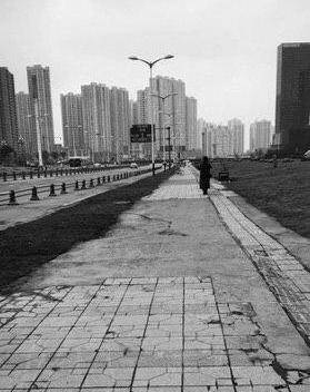 Тедрос Адханом Гебрейесус - На карантине из-за COVID-19 оказались 20% населения Земли - nakanune.ru