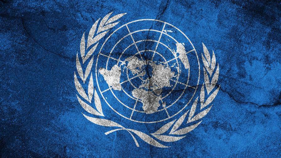 Мишель Бачелет - В ООН призвали ослабить санкции против пострадавших от коронавируса стран - gazeta.ru - Иран - Куба - Венесуэла - Кндр - Зимбабве