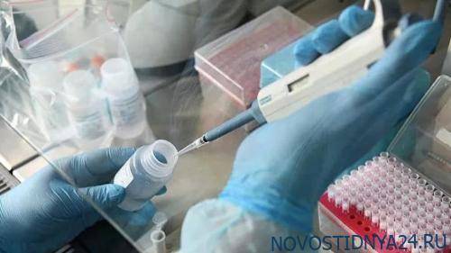 США и Франция заявили о найденном лекарстве для зараженных коронавирусом - novostidnya24.ru - Франция - Сша