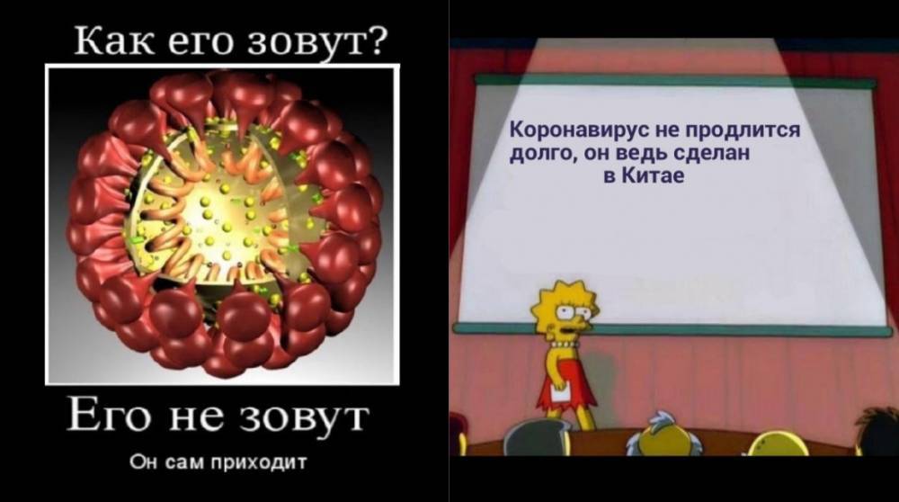 Как не умереть со скуки во время карантина: подборка смешных видео и приколов - e-w-e.ru