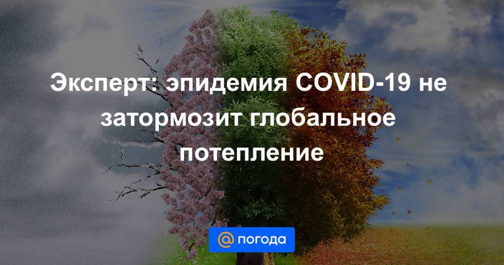 Эксперт: эпидемия COVID-19 не затормозит глобальное потепление - news.mail.ru - Сша - Китай