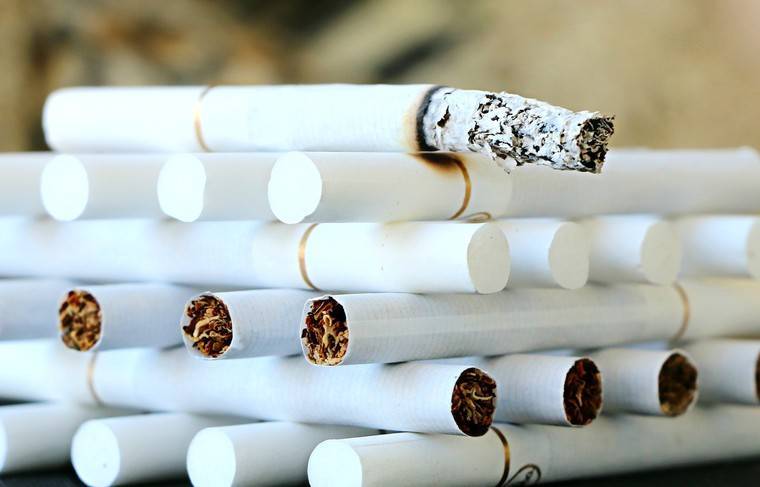 ОНФ проведёт опрос об отношении к курению и антитабачным мерам - news.ru - Россия