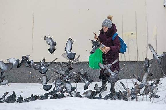 Евгений Куйвашев - Куйвашев попросил людей старше 65 лет не выходить из дома две недели - znak.com - Свердловская обл.