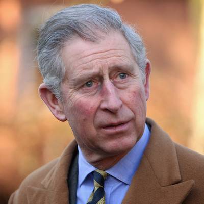 принц Чарльз - герцогиня Камилла - 71-летний британский принц Чарльз заразился коронавирусом - radiomayak.ru - Шотландия