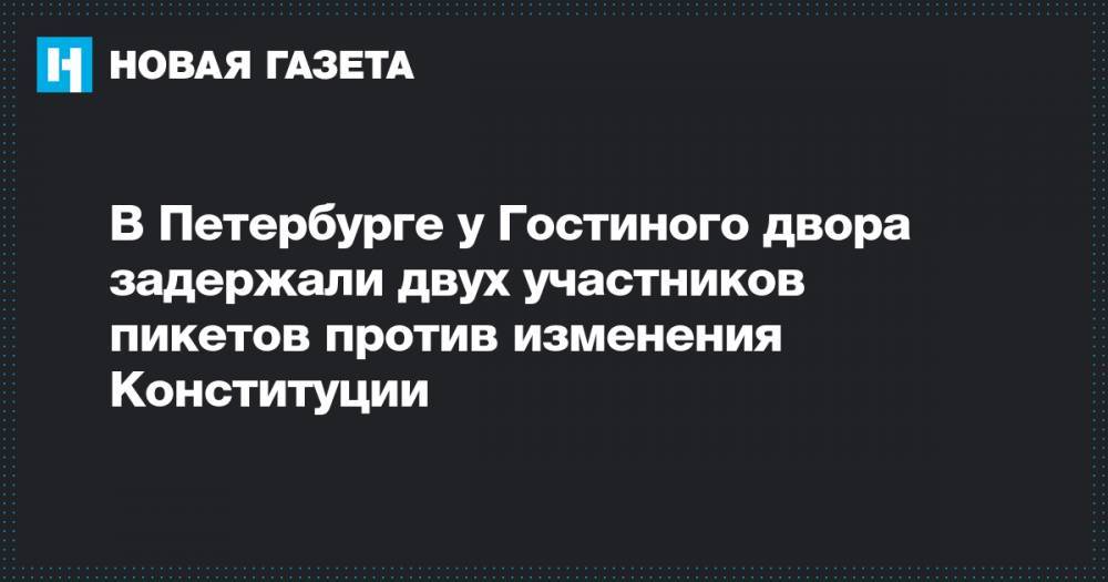 В Петербурге у Гостиного двора задержали двух участников пикетов против изменения Конституции - novayagazeta.ru - Санкт-Петербург