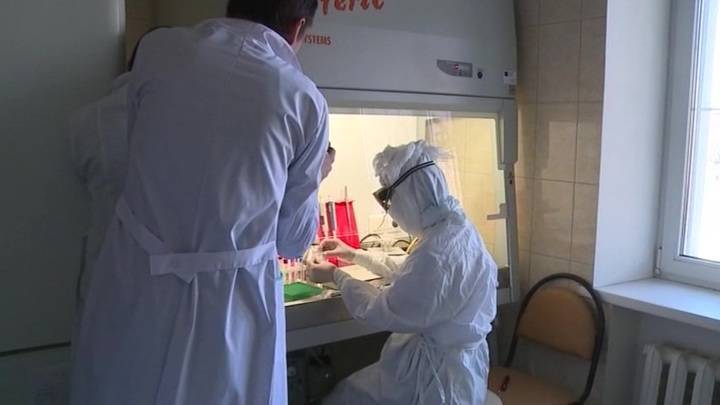 Частные лаборатории подключаются к тестированию на коронавирус - vesti.ru - Россия - Симферополь - Подольск - Красногорск - Дзержинск