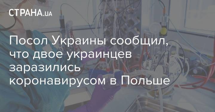 Андрей Дещица - Посол Украины сообщил, что двое украинцев заразились коронавирусом в Польше - strana.ua - Украина - Польша