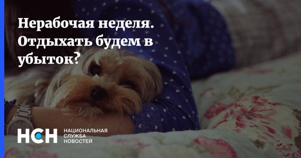 Виталий Милонов - Нерабочая неделя. Отдыхать будем в убыток? - nsn.fm - Россия