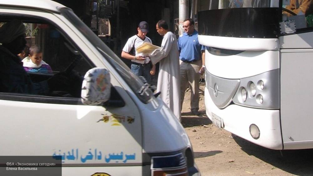Массовое ДТП с фурой в Египте унесло жизни 16 человек - nation-news.ru - Египет