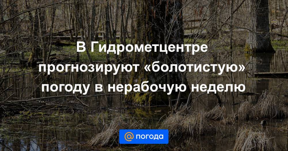 В Гидрометцентре прогнозируют «болотистую» погоду в нерабочую неделю - news.mail.ru