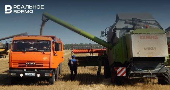 Налоговая пришла в «Дубраву» Ивана Егорова - realnoevremya.ru - республика Татарстан