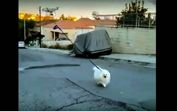 Хозяин на карантине выгулял пса с помощью дрона - korrespondent.net - Кипр