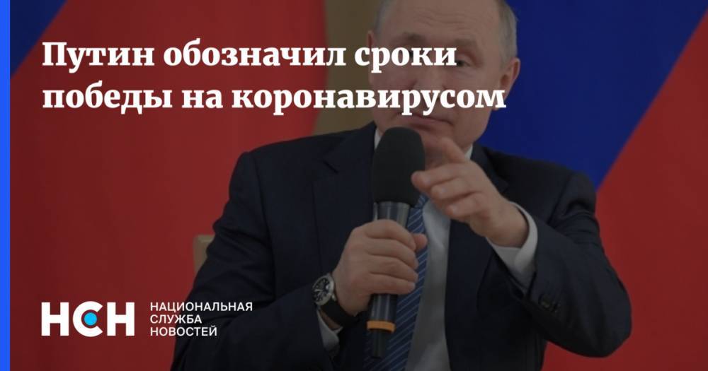 Владимир Путин - Путин обозначил сроки победы на коронавирусом - nsn.fm - Россия