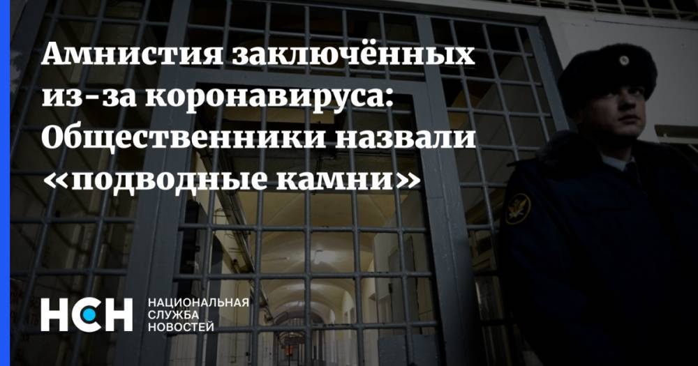 Игорь Трунов - Амнистия заключённых из-за коронавируса: Общественники назвали «подводные камни» - nsn.fm - Россия - Москва